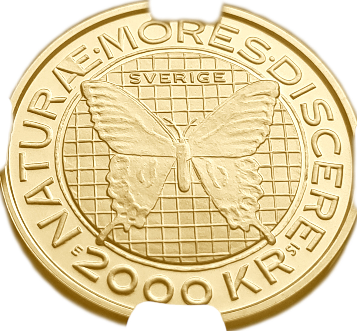 картинка Швеция. 2000 Крон 2007г. Золото. 12.0 г*0.900 0,3472 oz. Карл Линней! СЛАБ NGC PF 68 ULTRA CAMEO! от магазина Одежда+