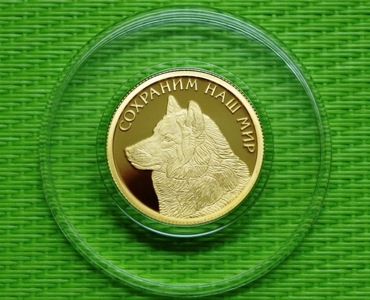 картинка 50 руб. 2020 г. Полярный волк золото пруф. Тираж 1000 шт. RARE от магазина Одежда+