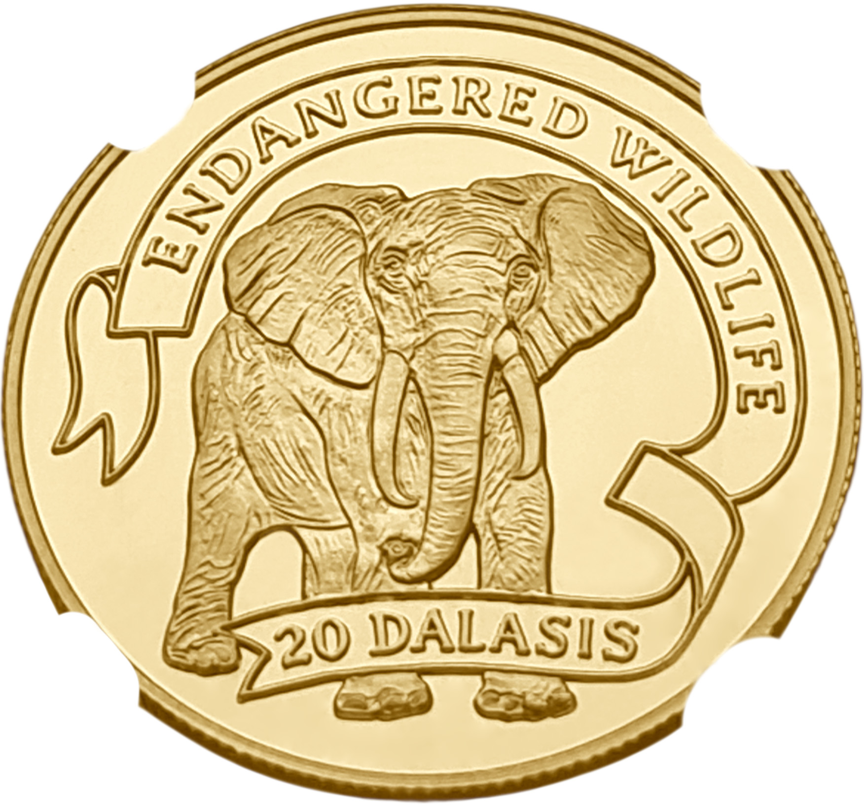 картинка Гамбия. 20 Даласи 1995г. Золото. 7.776 г*0.5833 0.1458 oz. Слон! СЛАБ NGC PF69 ULTRA CAMEO! от магазина Одежда+