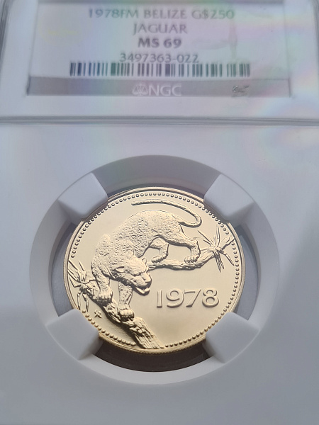 картинка Белиз. 250 долларов 1978 г. Золото. 8.81 г*0.900 0.2549 oz. Ягуар! СЛАБ NGC MS69! от магазина Одежда+ 3