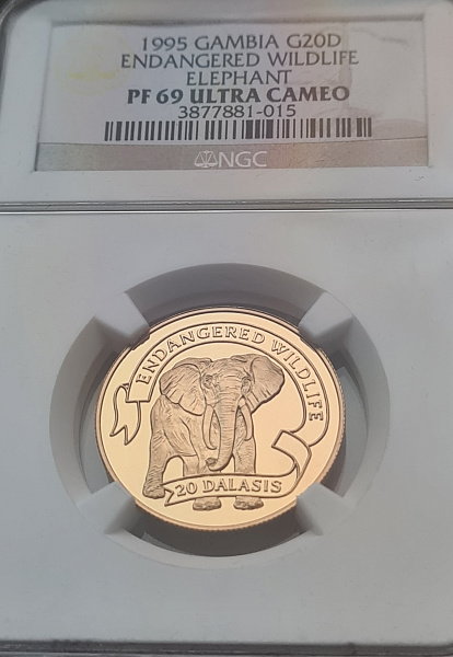 картинка Гамбия. 20 Даласи 1995г. Золото. 7.776 г*0.5833 0.1458 oz. Слон! СЛАБ NGC PF69 ULTRA CAMEO! от магазина Одежда+ 3