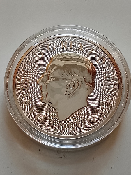 картинка 100 фунтов QUEEN*S PANTHER 1 oz 2025 от магазина Одежда+ 2