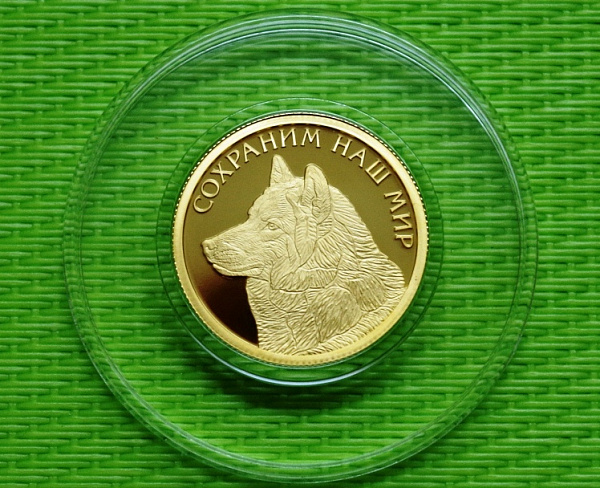картинка 50 руб. 2020 г. Полярный волк золото пруф. Тираж 1000 шт. RARE от магазина Одежда+